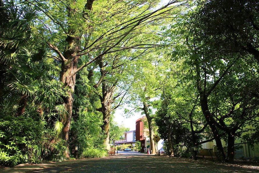 お墓のご案内 日蓮宗 妙建山 本立寺 お墓のご案内 日蓮宗 妙建山 本立寺